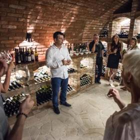 Vinařský pobyt s degustací a prohlídkou Galerie Vín v Penzionu Onyx v Lednice